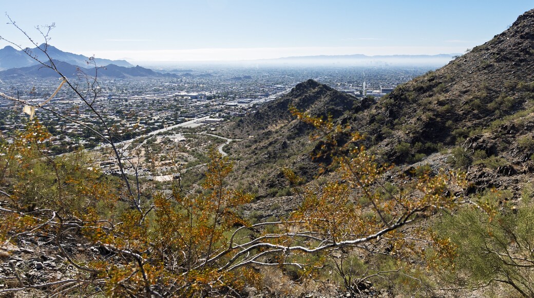 นอร์ท พาร์ค เซ็นทรัล