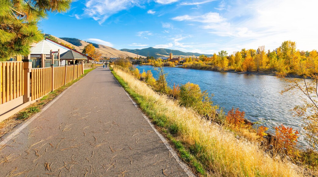 ๋ฆฌ๋ฒํ๋ฐํธ