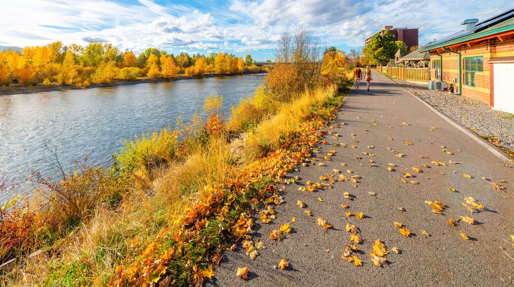 ๋ฆฌ๋ฒํ๋ฐํธ