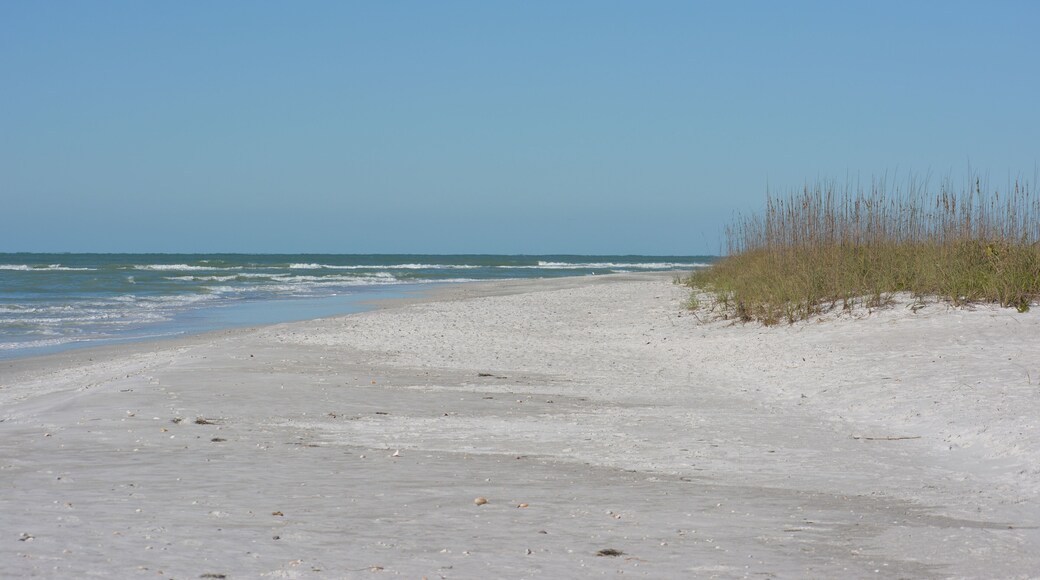 ลิโด้ ชอร์ส