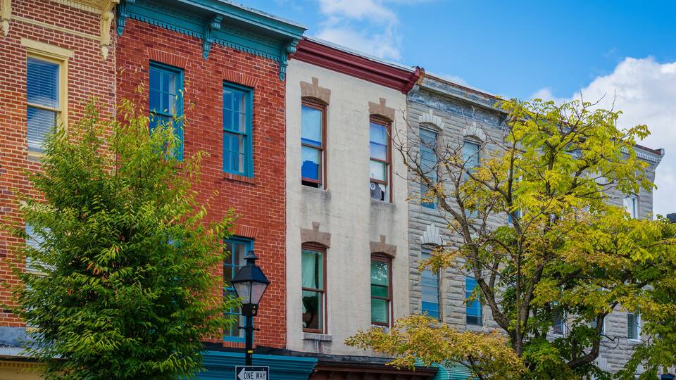 Houses on Carrollton Avenue near Hollins Market in Baltimore, Maryland