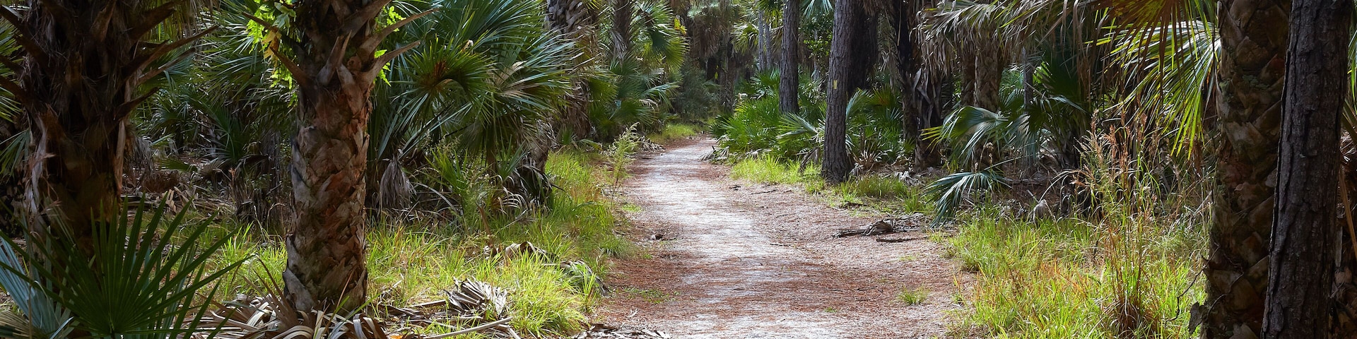 Hiking trail at Bulow Creek State Park near Palm Coast, Florida