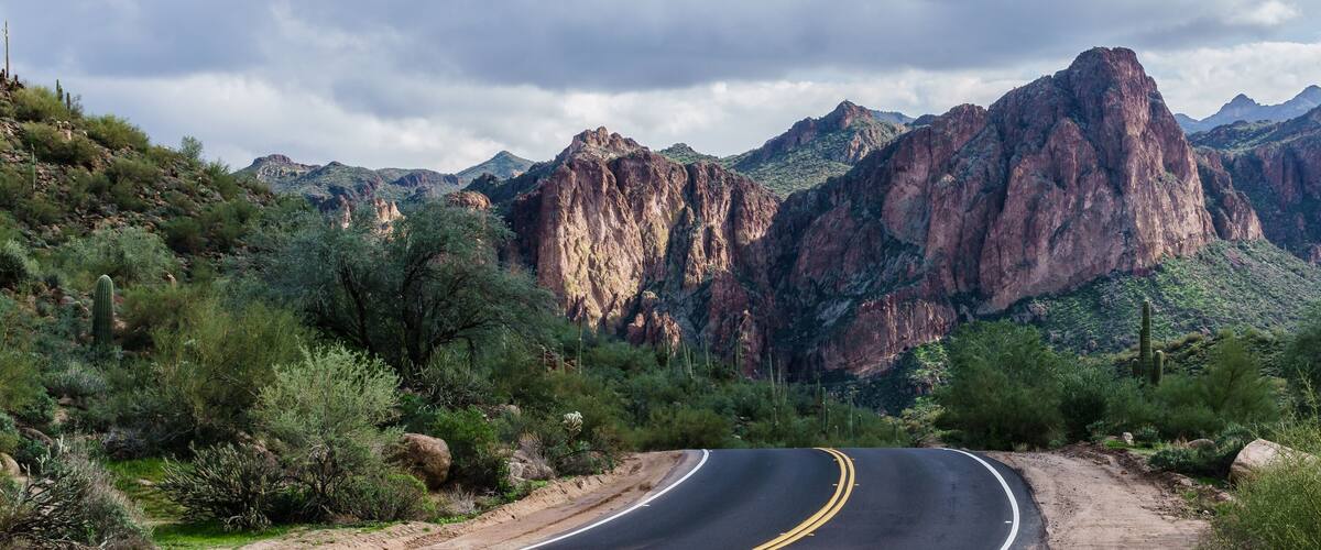 Beautiful Bush Highway Arizona, USA