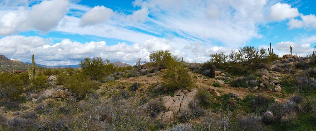 Panorama of Brown's Ranch in Scottsdale Arizona