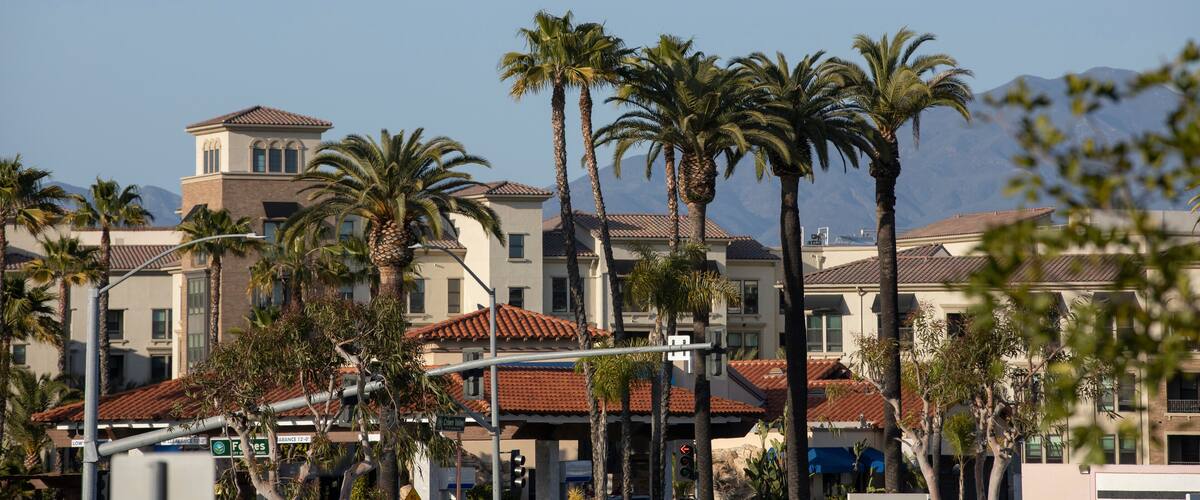 Daytime palm-framed view of the downtown skyline of Laguna Niguel, California, USA.