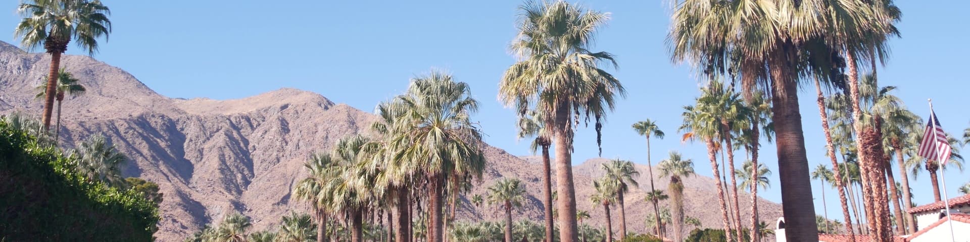 Row of palm trees and mountains or hills, sunny Palm Springs vacations resort near Los Angeles, Old Las Palmas, California valley nature, USA. Arid dry climate plants, desert oasis flora, summer vibes