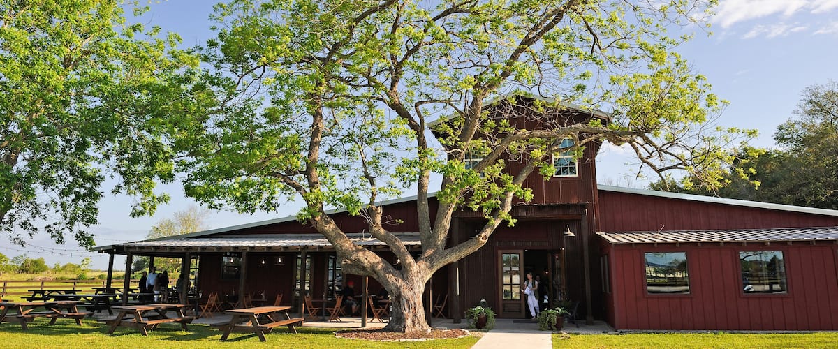 Pecan tree in front of Amelia Farm and Market, 8600 Dishman Road, Beaumont, Texas, United States of America