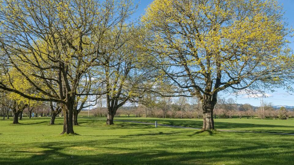 Public park landscape in Fairview Oregon.