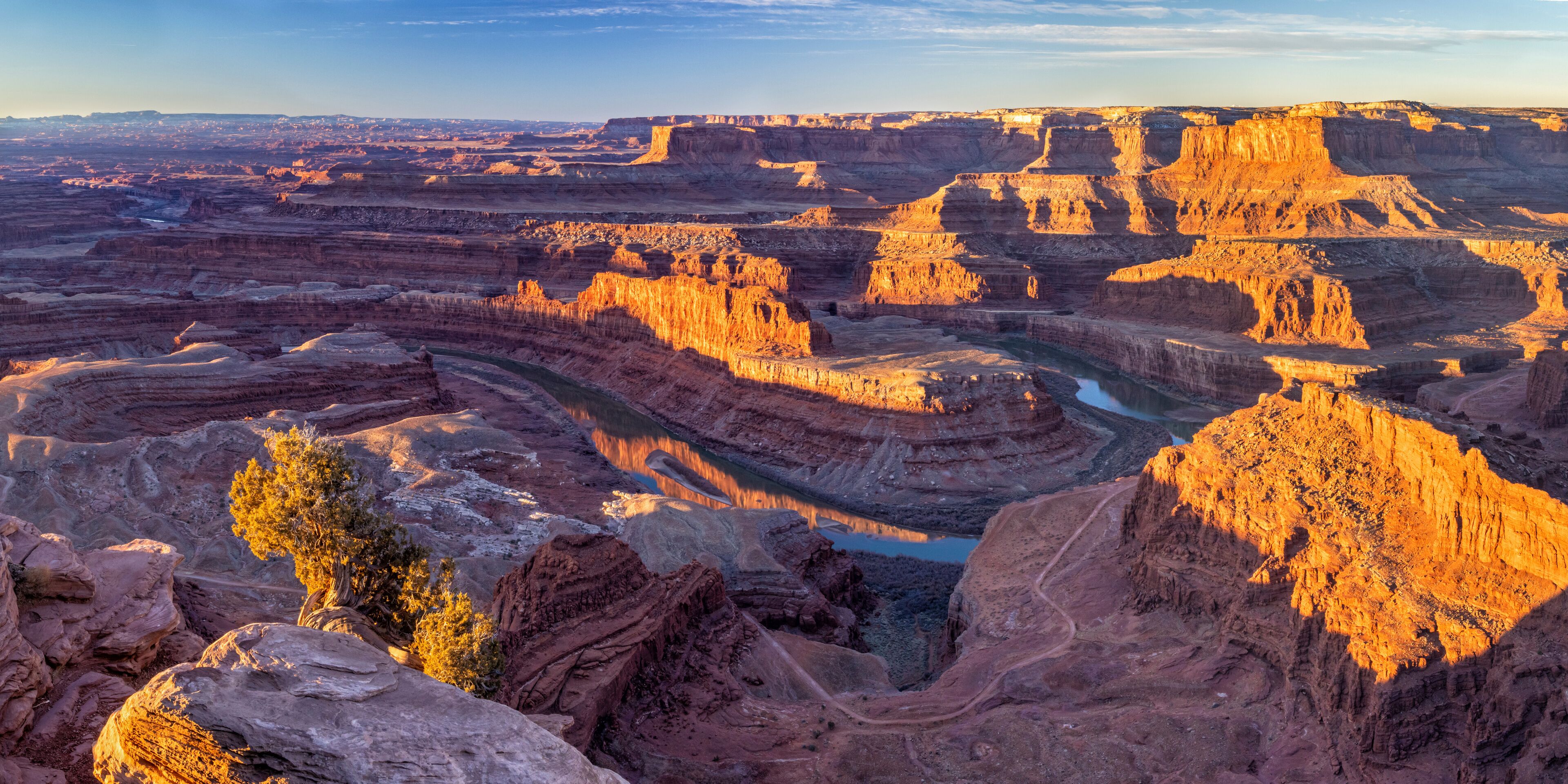A small juniper tree grows among the boulders on the edge of a  Dead Horse Point overlook, with the Colorado River gooseneck bend behind.