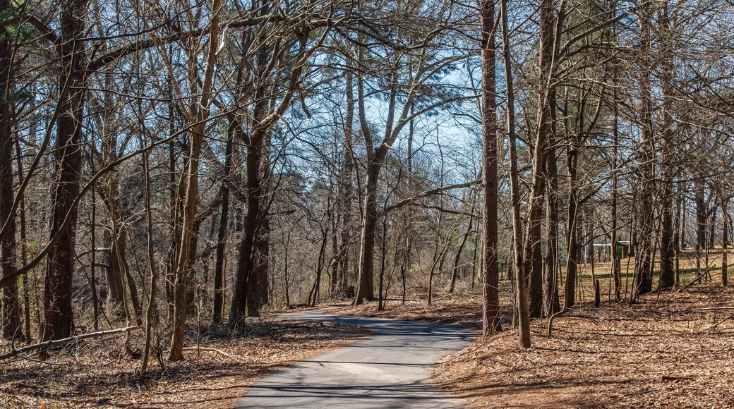 グウィネット プレイス