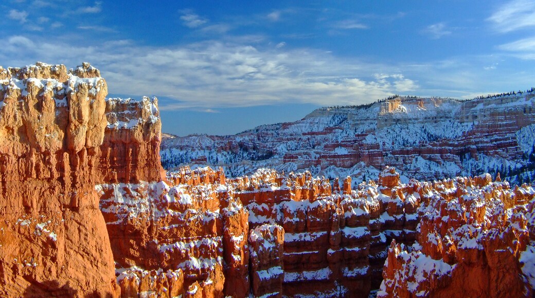 บลูมิงตัน ฮิลล์ส