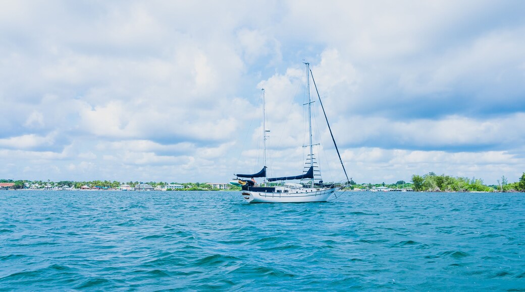 ซีโคสต์ ชอร์ส