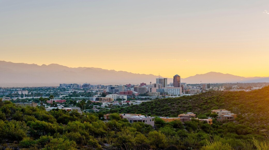 โฟลวิ่ง เวลล์ เนเบอร์ฮูด