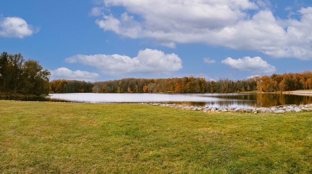 Centennial Park is a Howard County Department of Recreation & Parks' public park located in Ellicott City, Maryland.