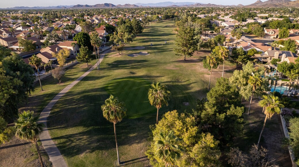 Scenic residential area with green trees. Arrowhead Ranch, Glendale, Arizona, United States