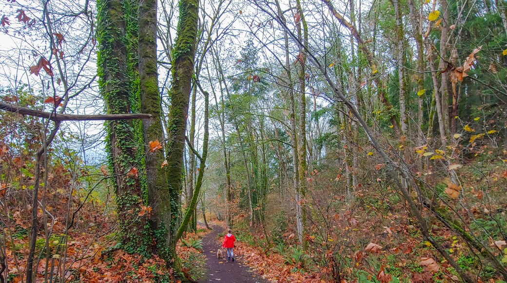 ์ฟ ๊ฐ ๋ง์ดํด