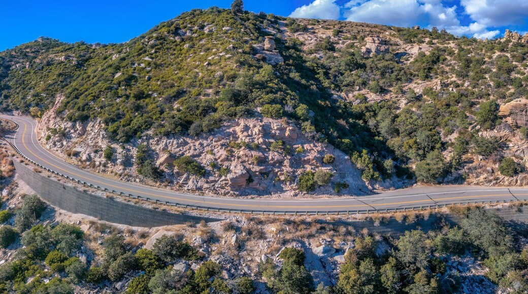 Oracle Foothills Estates