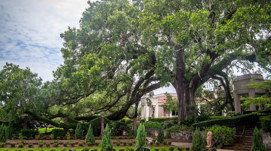 แกรนด์ พาร์ค