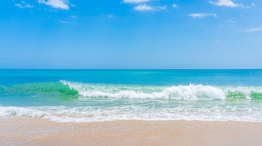 Blue-green wave on ocean beach in Florida in spring. Panoramic photo