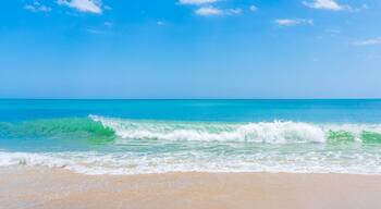 Blue-green wave on ocean beach in Florida in spring. Panoramic photo