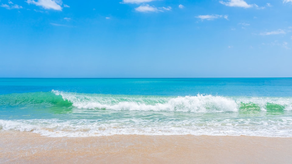 Blue-green wave on ocean beach in Florida in spring. Panoramic photo