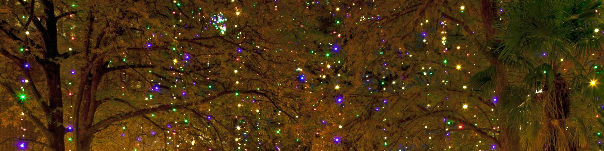 A nighttime scene with a waterway reflecting colorful lights, a stone bridge, and trees adorned with string lights.