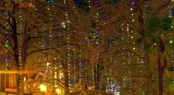Christmas on San Antonio's Riverwalk, Texas.