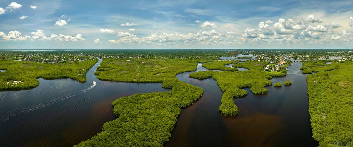 Aerial view of Florida wetlands with green vegetation between ocean water inlets. Natural habitat of many tropical species