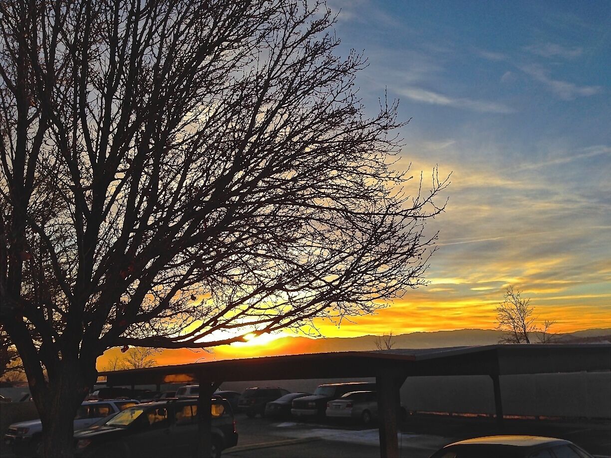 #goldenhour
The Sun can be astonishing at times with the way she makes her presence felt.