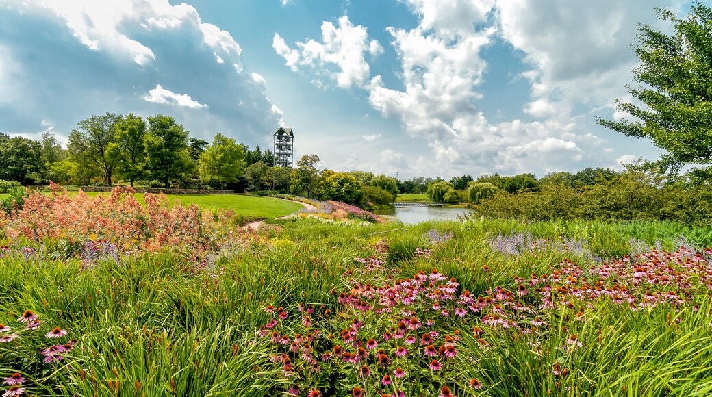 Evening Island with Carillon Bell Tower at Chicago Botanic Garden, Glencoe, Illinois, USA