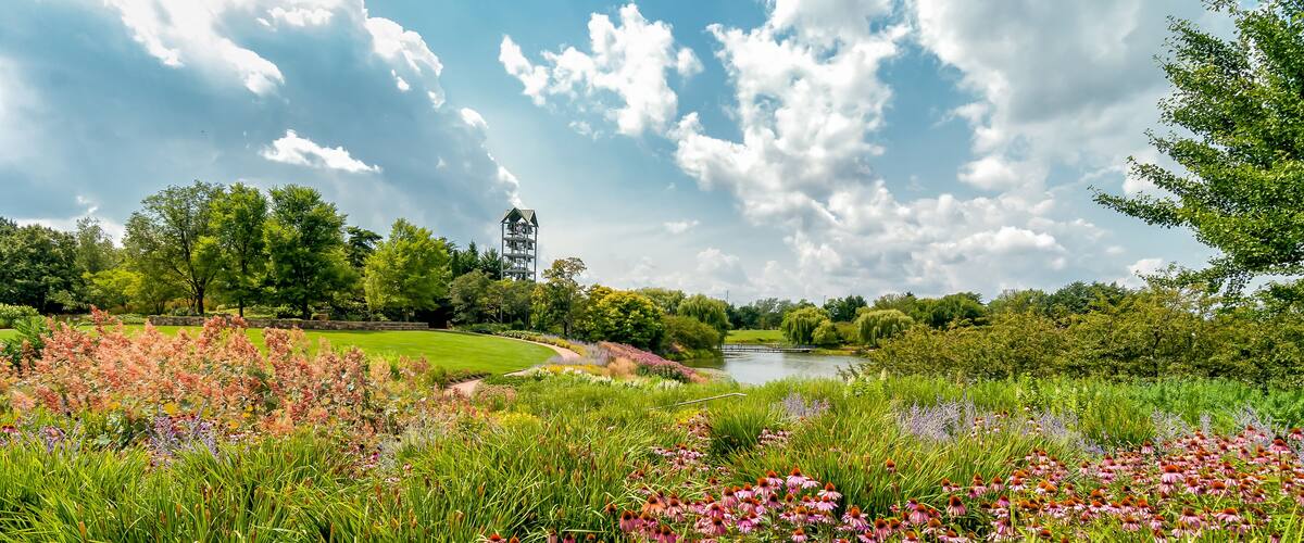 Evening Island with Carillon Bell Tower at Chicago Botanic Garden, Glencoe, Illinois, USA