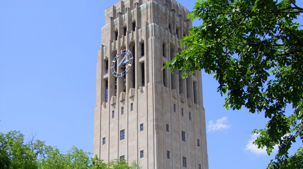 Clock tower in University of Michigan