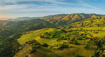 ไฮ เมโดว์ส