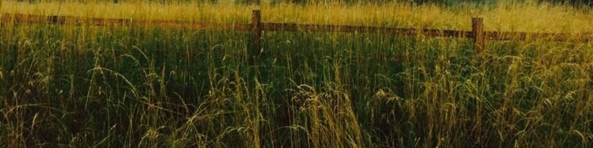 Great hike this am, even with the rain!