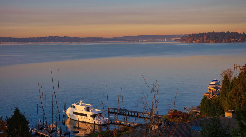 2020-05-23 MERCER ISLAND SHORELINE LOOKING NORTH TOWARDS LAKE WASHINGTON AND THE 520 FLOATING BRIDGE