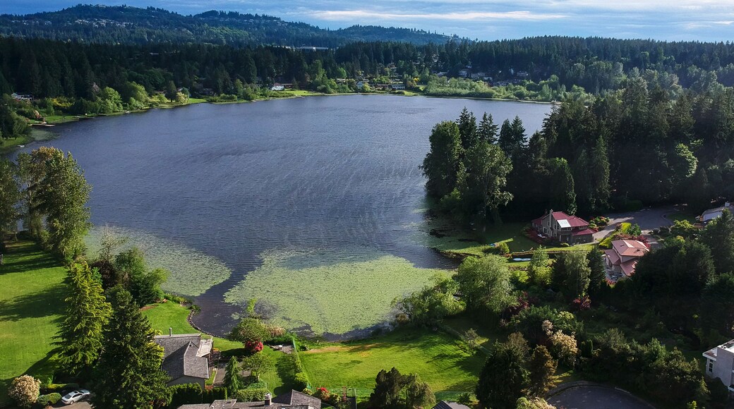 ๋ ์ดํฌ ํ์ค