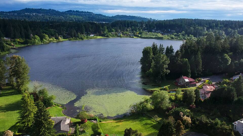 A lake surrounded by trees and houses.