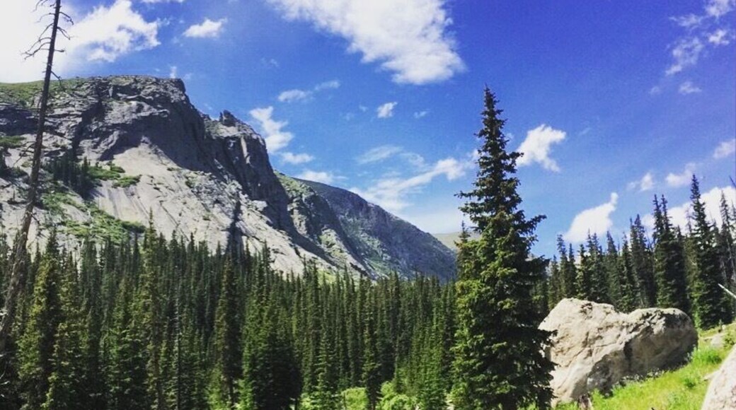 Trail to Chicago Lakes in Arapahoe Wilderness area outside of Idaho Springs #hiking #rockies #colorado #backpacking