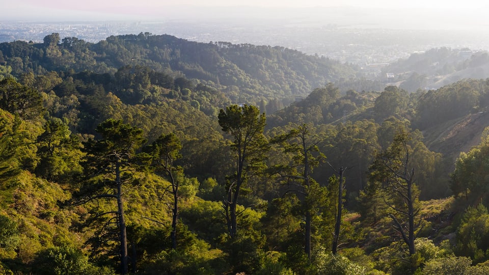 Aerial Panorama of Oakland Hills in Northern California