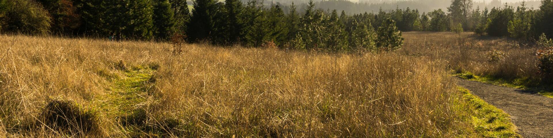 Cooper Mountain Nature Park, Beaverton, Oregon