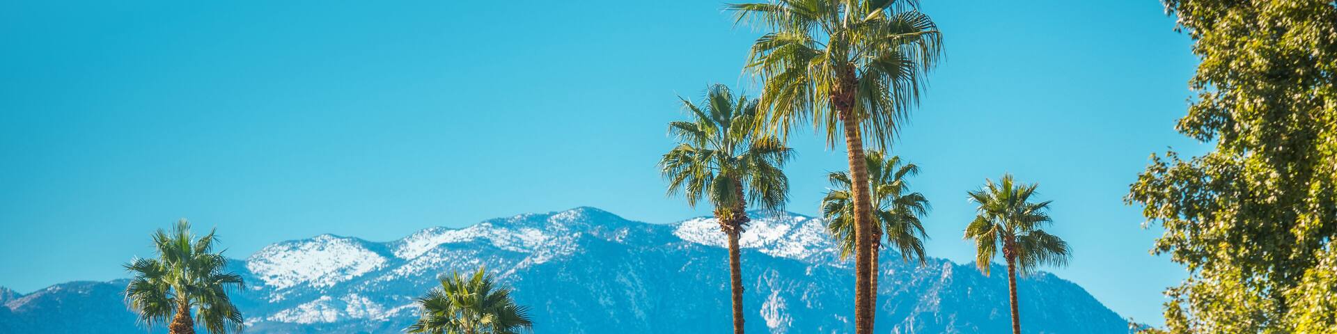 A mountain range with snow-capped peaks and palm trees in the foreground.