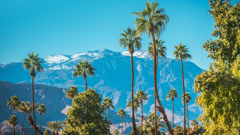 Winter in the City of Palm Springs California