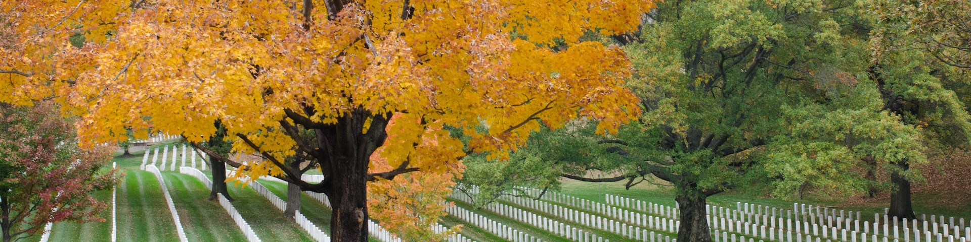 Washington DC - Arlington National Cemetery in Autumn