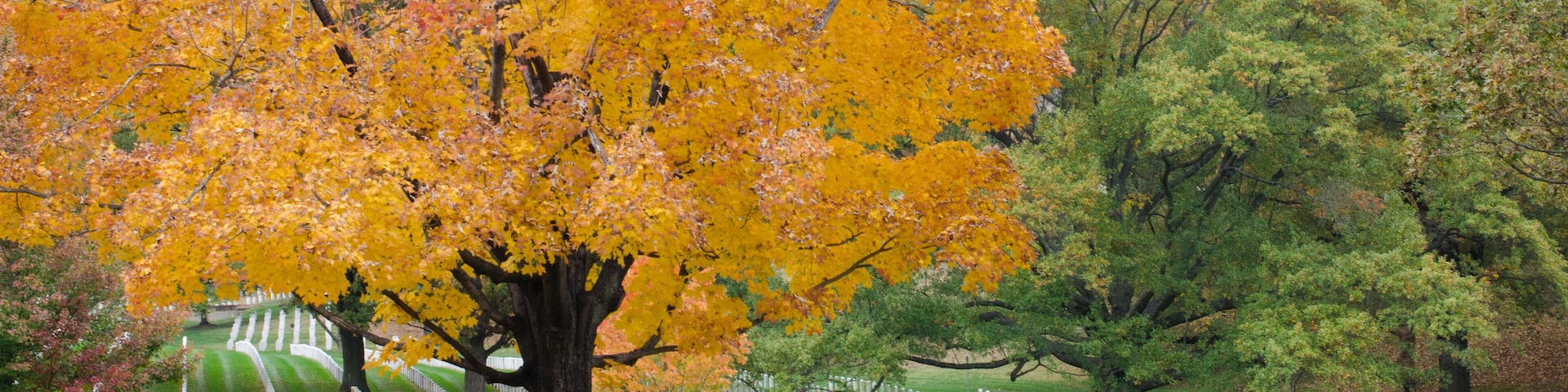 Washington DC - Arlington National Cemetery in Autumn
