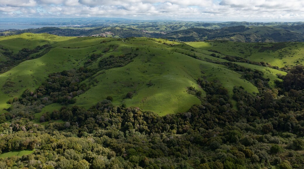 Clouds drift across a serene California landscape just east of San Francisco Bay. This beautiful region turns green in the winter and is golden during summer months due to weather.