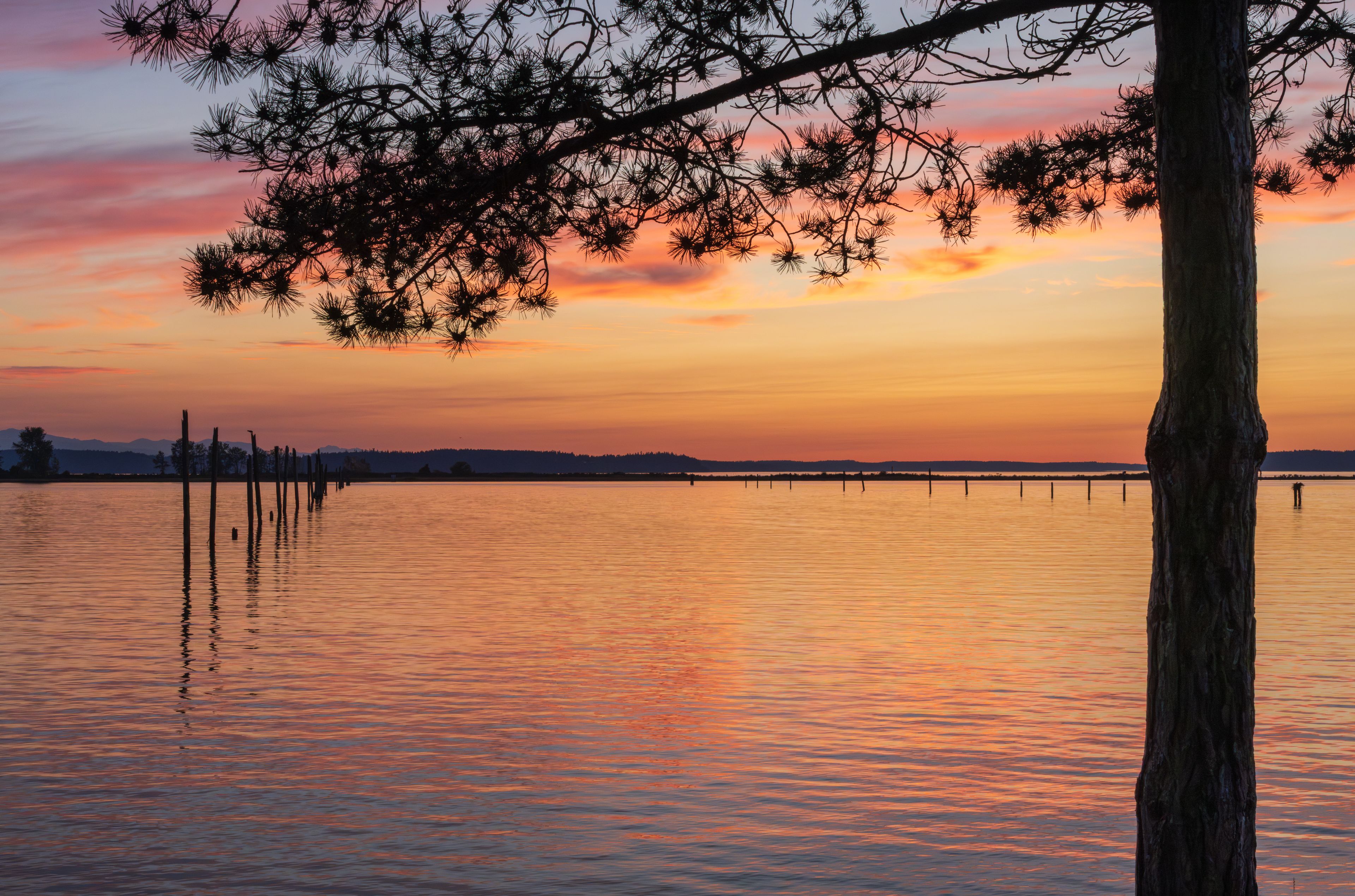 A sunset over a calm lake with a tree in the foreground and a distant shoreline.