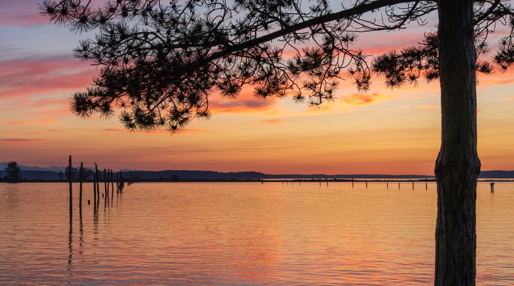 A sunset over a calm lake with a tree in the foreground and a distant shoreline.
