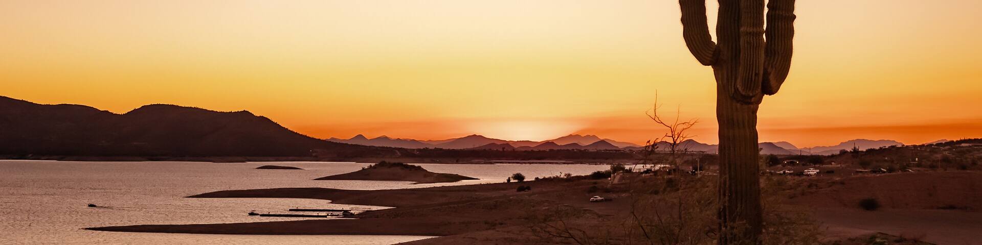 A desert landscape with a prominent cactus in the foreground and a sunset over a body of water with distant mountains.