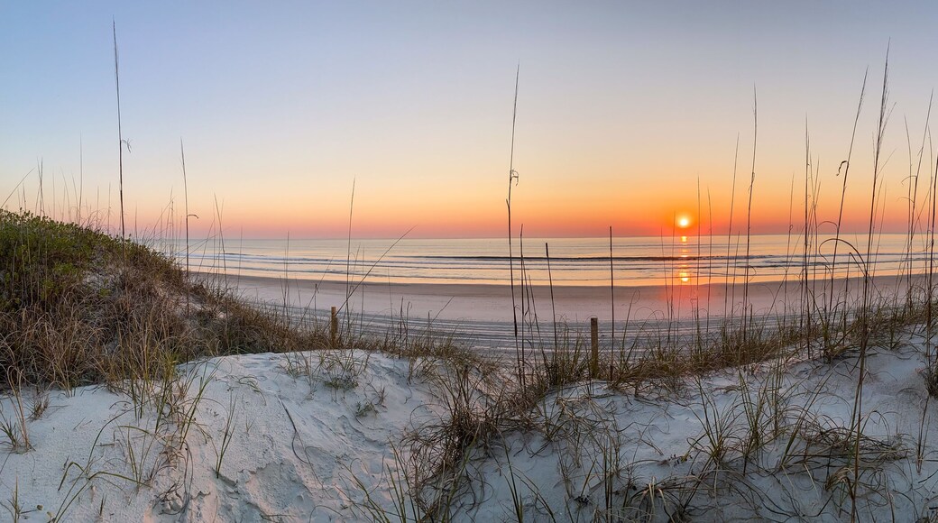 เฟอร์นันดินา