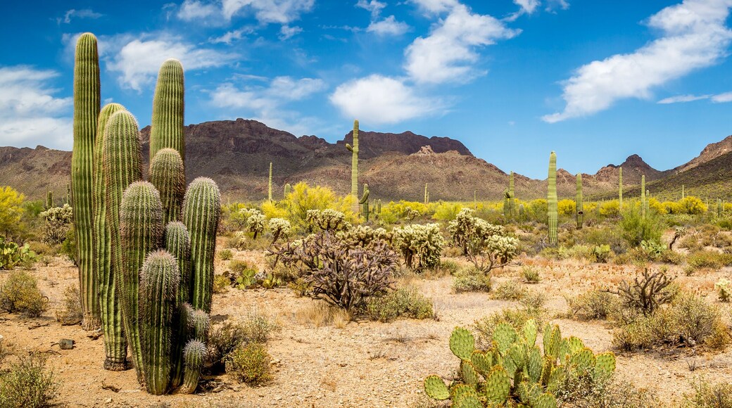 แคนยอน เทรลส์